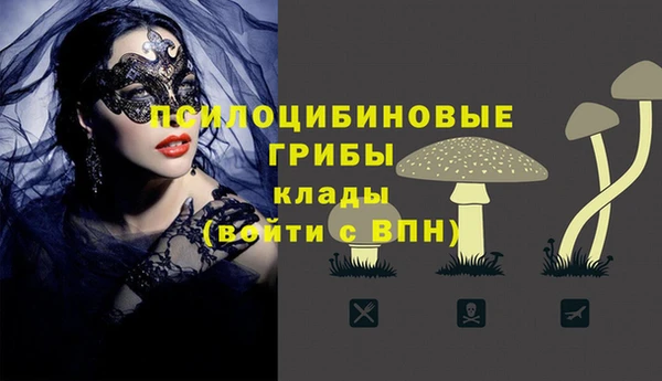 крисы Арсеньев
