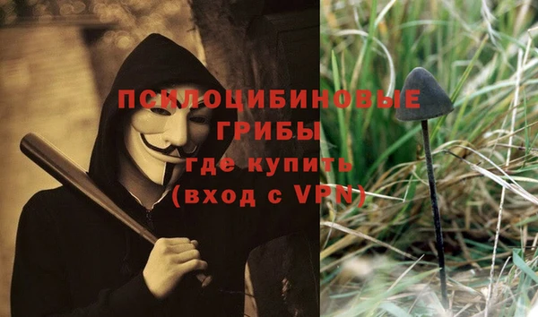 мдпв Армянск