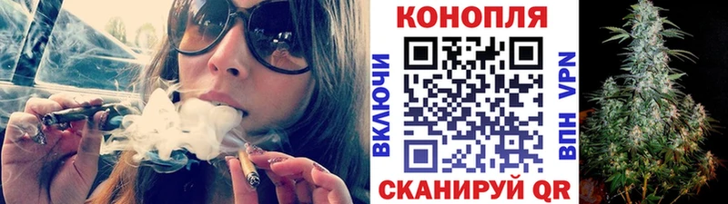 Конопля OG Kush  Тавда 